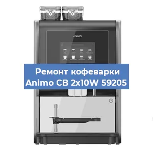 Чистка кофемашины Animo CB 2x10W 59205 от накипи в Нижнем Новгороде